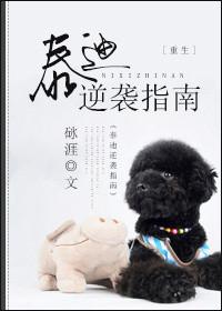 泰迪逆袭指南by