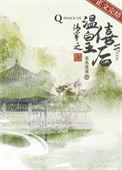 清穿之独宠天下全文阅读