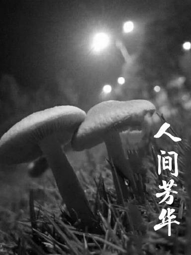 祈愿喜乐