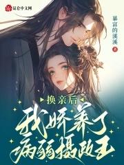 换亲后我成姐姐的对照组
