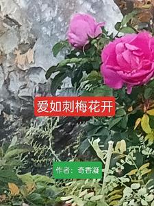 刺梅花开诗词