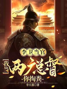 李卫当官2简介