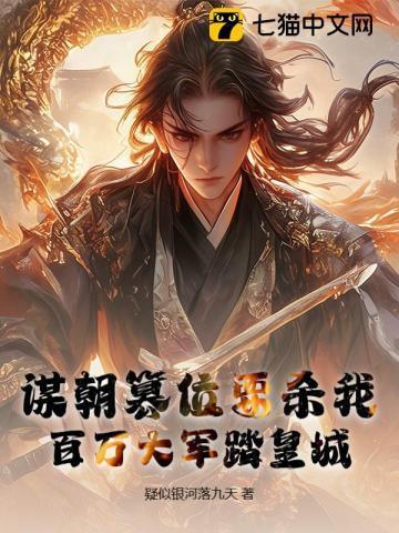六皇子将军